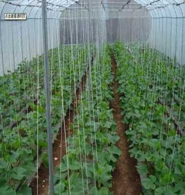 萊蕪市萊城區(qū)蔚霖節(jié)水灌溉產(chǎn)品經(jīng)營(yíng)部