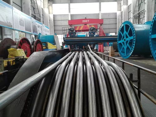 公司順利完成銅仁奧體中心密封繩生產，同步推進塑料管產銷業務